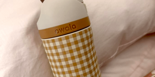 Target’s New Fall Owala Collection Is Here | Gingham Bottles, Puffer Totes & More