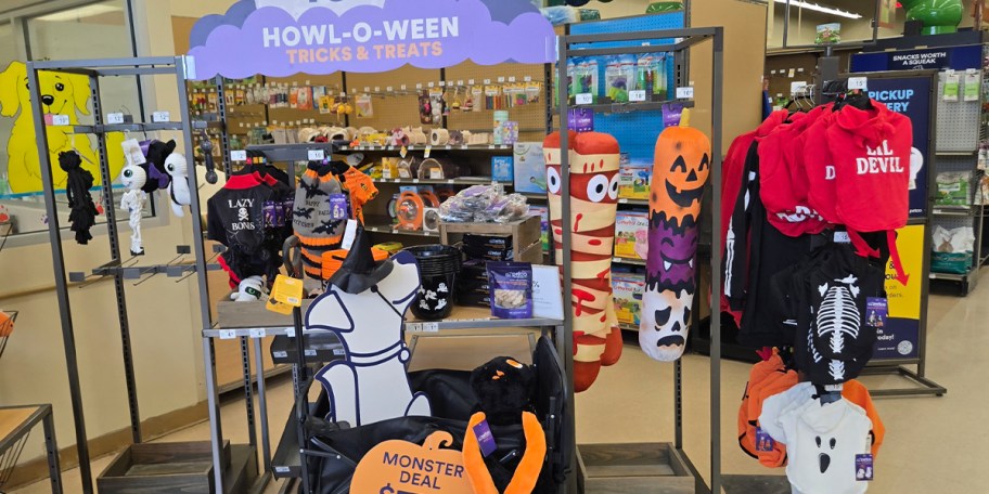 halloween pet costumes, accessories and toys in store 