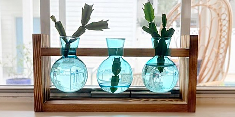 Plant Propagation Station Just $9.49 on Amazon (Reg. $19) – Today Only!