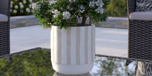 Up to 50% Off Planters on Lowes.com | Styles from $6.98 Shipped