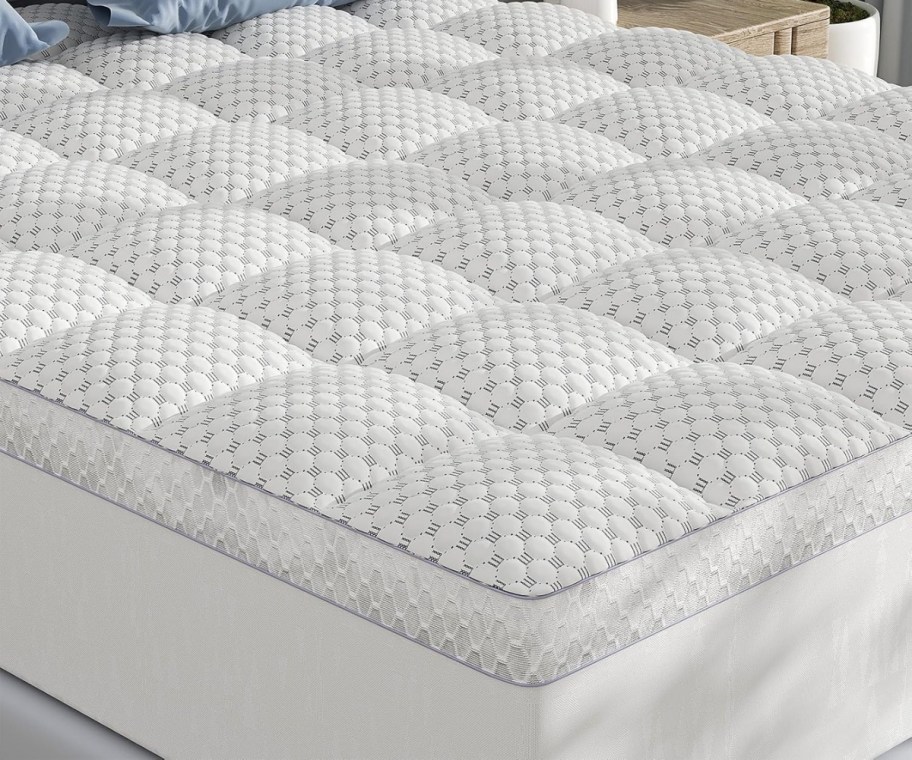 bedlite queen mattress topper