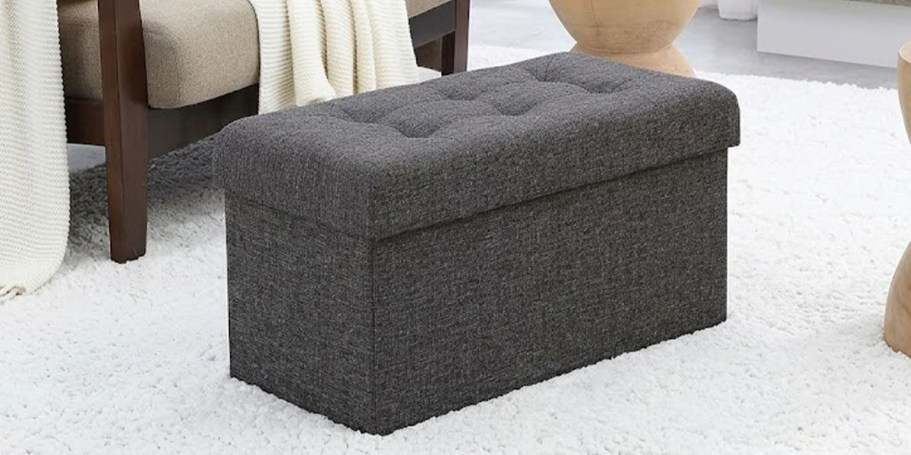 Collapsible Storage Ottomans from $26 Shipped (Reg. $55) – Today Only!