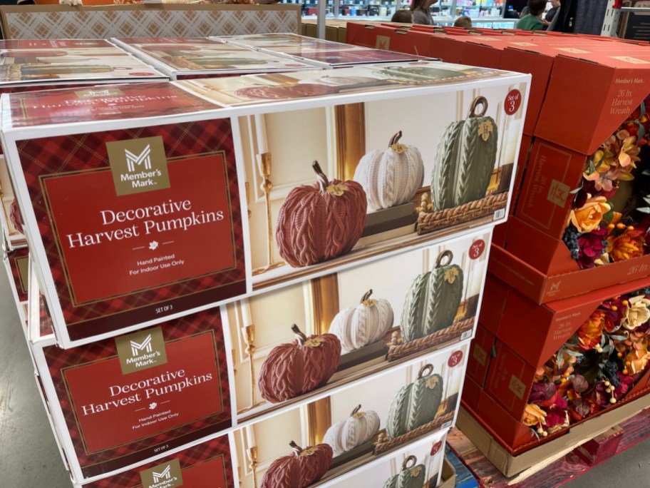 Stacked boxes of Member's Mark Decorative Harvest Pumpkins featuring a set of three cable-knit textured pumpkins in rust, white, and green.