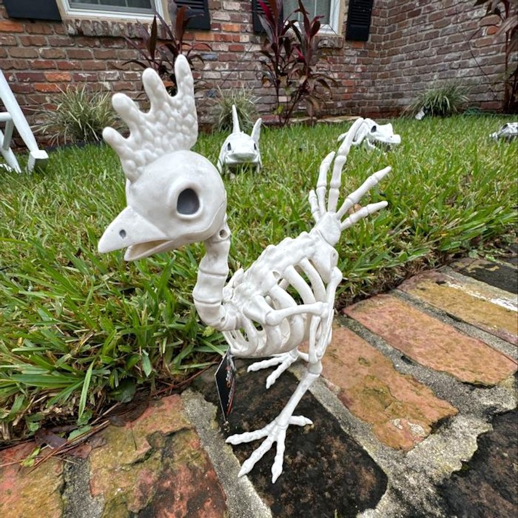 skeleton decor