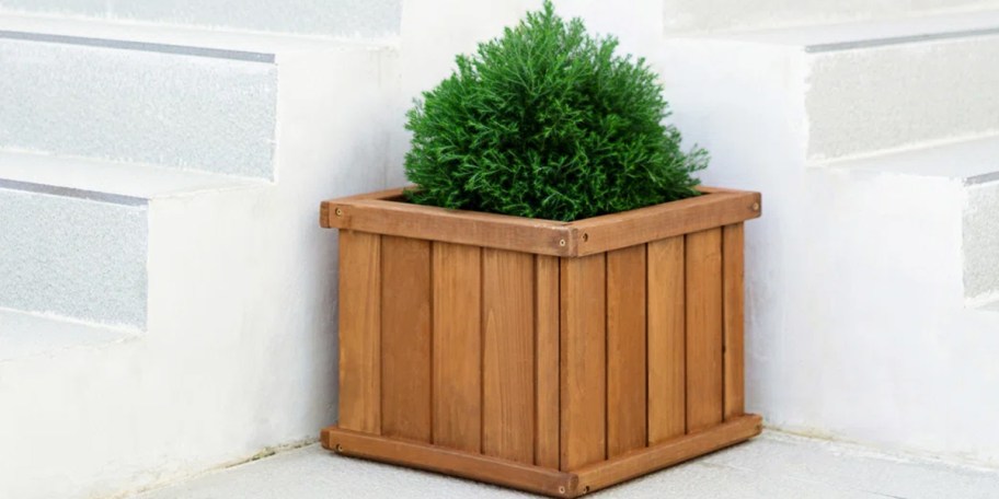 wood planter box with plant near stairs