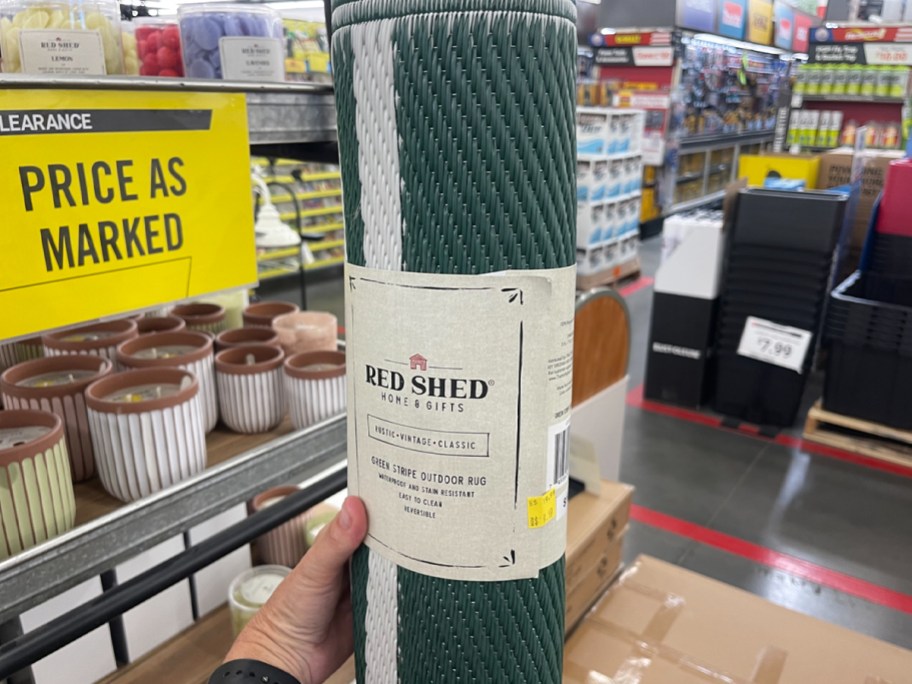 green and white outdoor rug