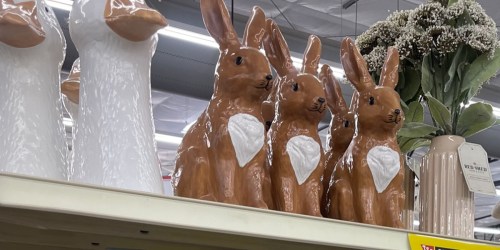 Tractor Supply Just Marked Down Some Seriously Cute Home Decor Up to 50% Off!