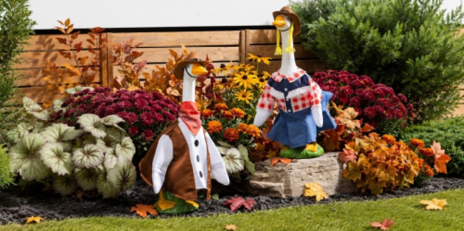Dress Up Porch Goose w/ Seasonal Outfit 2-Packs From $11.57 at Walmart