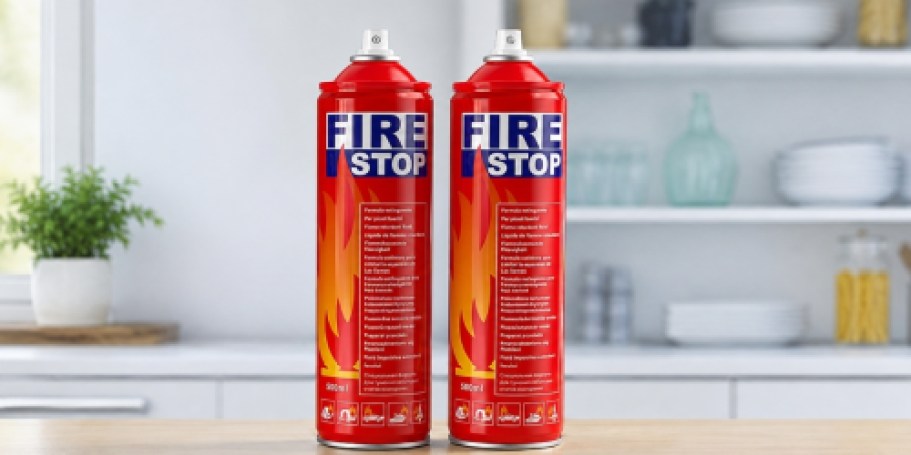 TWO Fire Extinguishers Only $8 on Amazon (Reg. $17)