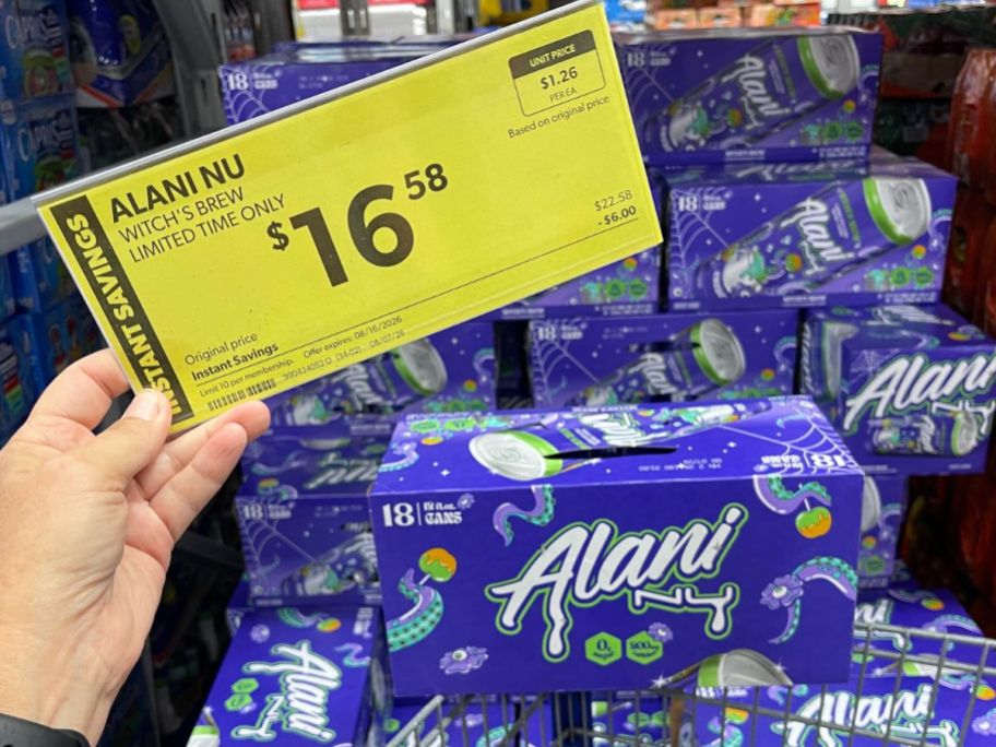 Alani Nu Witch's Brew 18-Pack in store with hand holding price tag above it