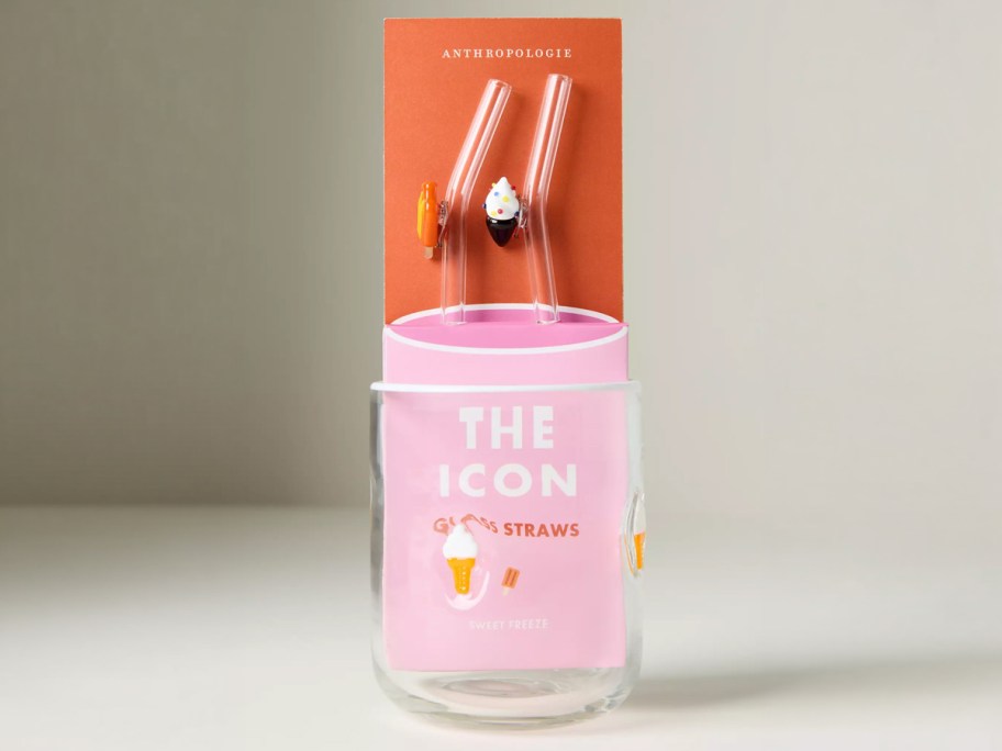 Anthropologie Icon Straws 2-Pack