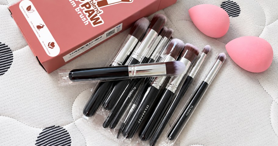 Makeup Brush & Blending Sponge 12-Piece Set Only $3.99 on Amazon