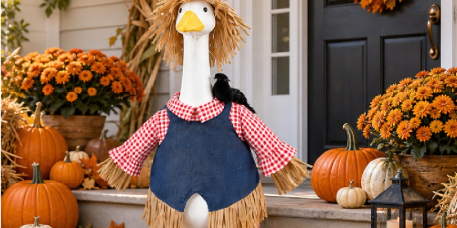 Scarecrow Porch Goose Outfit Only $9.99 on Amazon (Reg. $20)