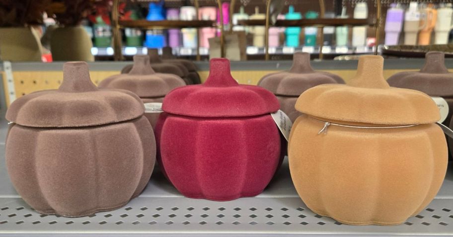 Better Homes and Gadrens Mini FLocked Pumpkin Candles