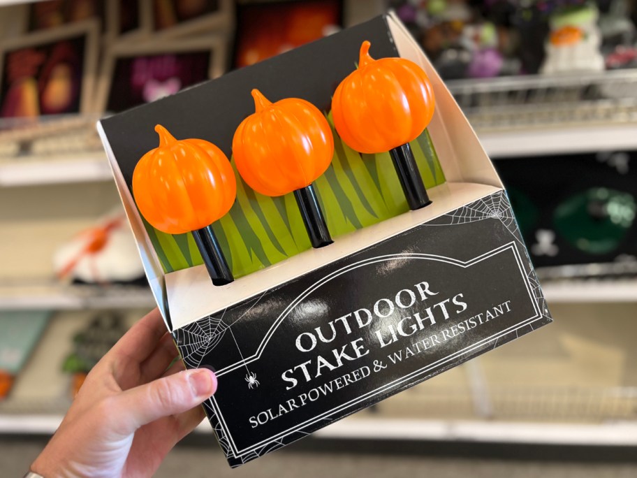 Bullseye's Playground 3pk Solar Lights