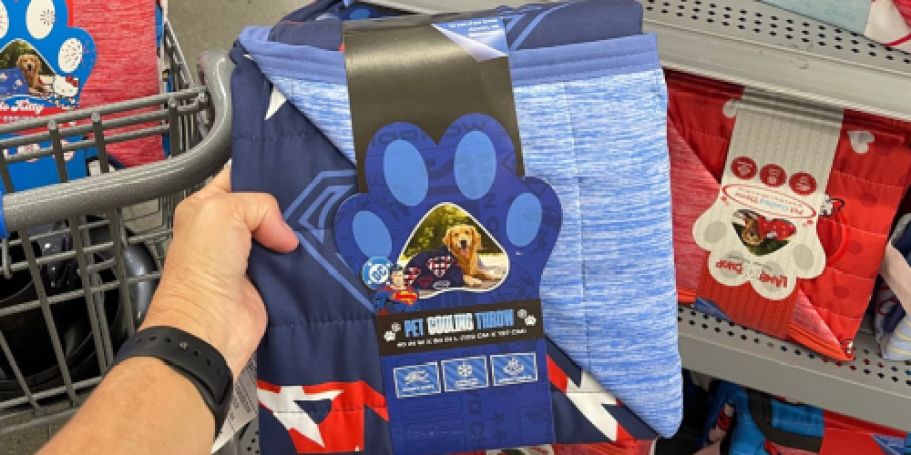 Pet Cooling Blankets Under $20 at Walmart (FIVE Character Designs!)