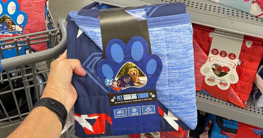 hand holding Character Pet Cooling Throw Blanket in store
