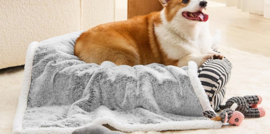 Waterproof Sherpa Dog Blanket Just $7.99 Shipped for Amazon Prime Members (Reg. $20)
