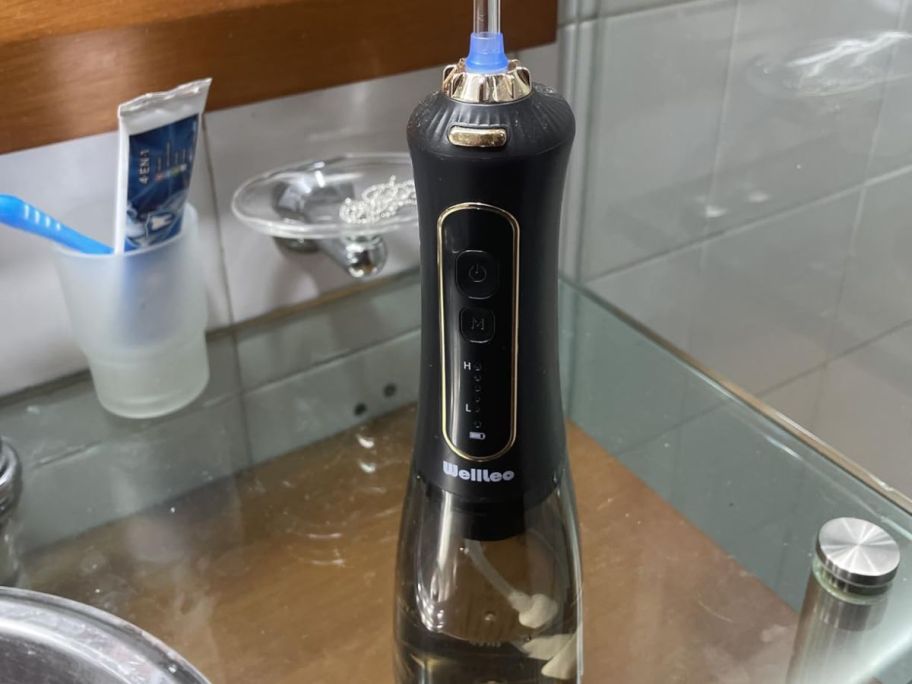 WellLeo Cordless Water Flosser