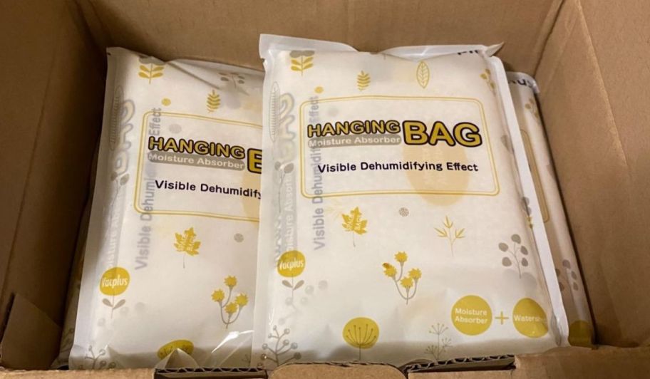 Dehumidifying bags inside of their bags