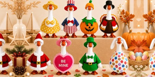 Desk Goose Outfits 8-Pack Just $21.74 Shipped on Amazon (Reg. $44)