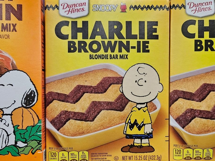 Duncan Hines Peanuts Charlie Brown-ie Blondie Bar 15.25oz box in store