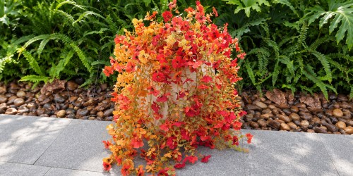 UV-Resistant Fall Artificial Flowers from $9.99 on Amazon (Reg. $30)