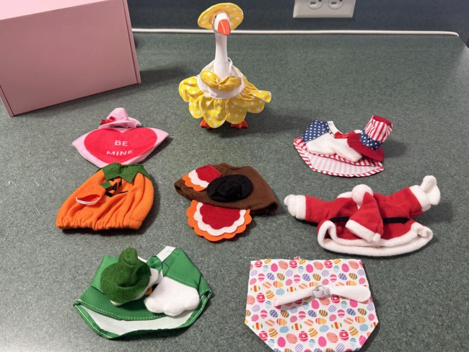 mini desk goose with seasonal outfits laid in front of it