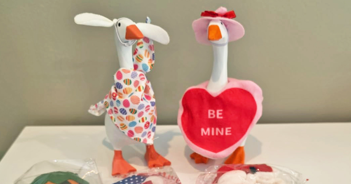 Desk Goose Outfits 8-Pack Just $21.74 Shipped on Amazon (Reg. $44)