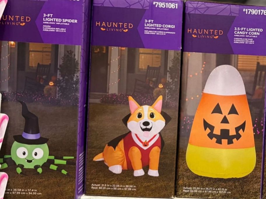 Haunted Living 3' Lighted Dog Halloween Inflatable box in store