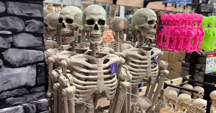 Haunted Living Ultra Posable Skeletons with LED Eyes on display in store