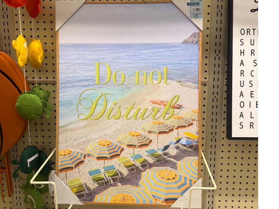 Do Not Disturb Beach Picture at Hobby Lobby