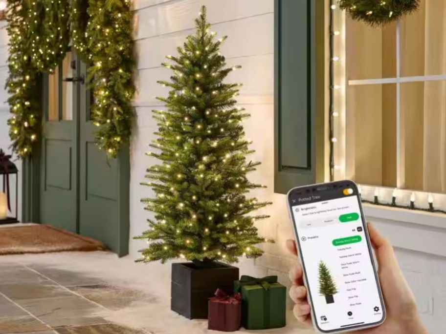 Home Decorators Collection Grand Duchess 4' Potted Tree