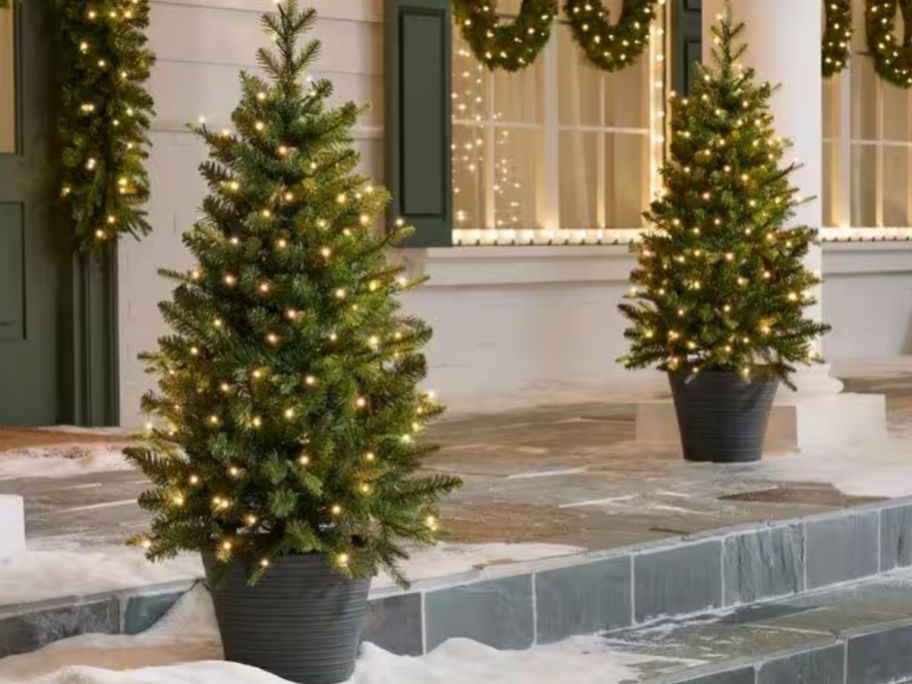two 3' Home Decorators Collection Grand Duchess Entryway Trees on a front porch