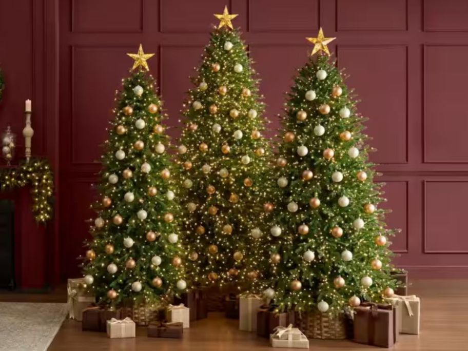 3 Home Decorators Collection Slim and Full Grand Duchess Pre-Lit Christmas Trees
