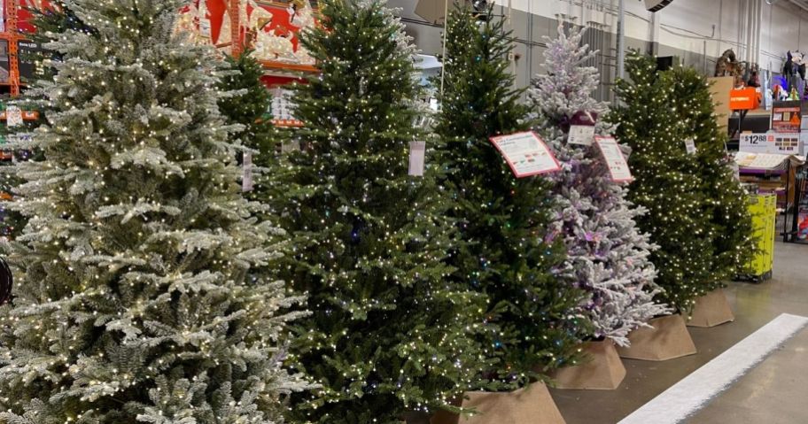 Home Decoratos Collection Grand Duchess Trees at Home Depot