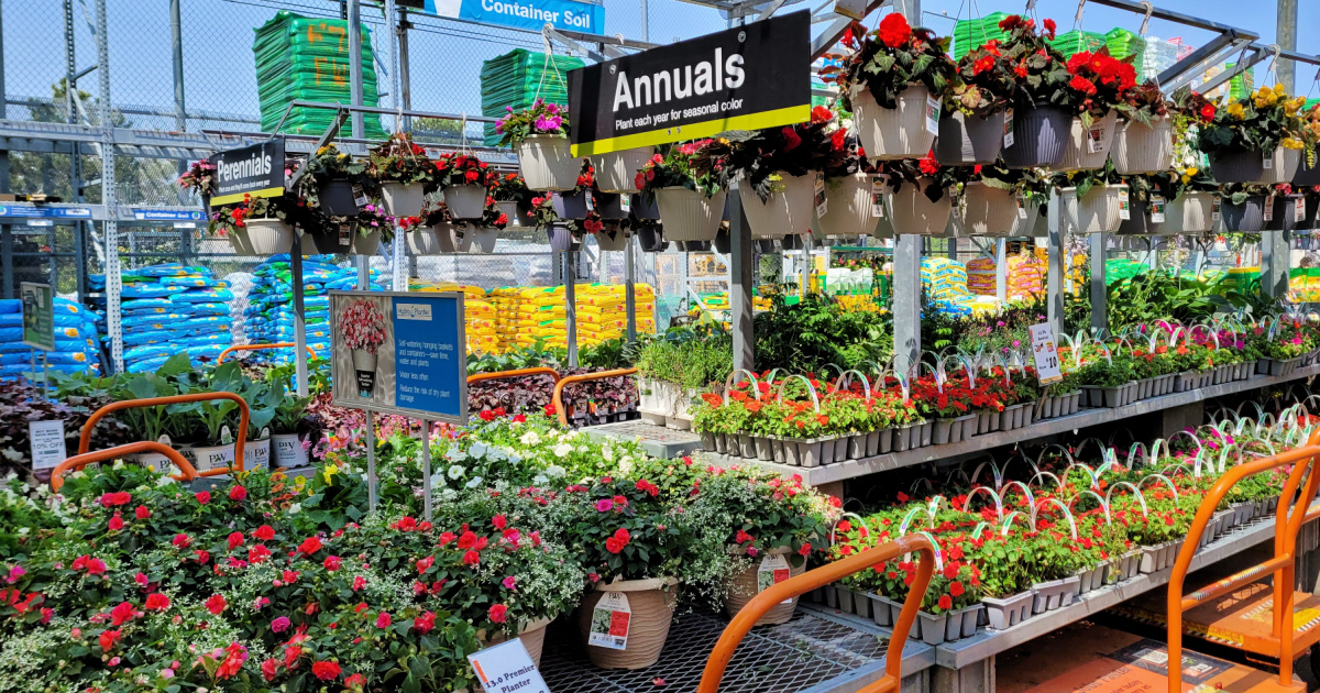 Home Depot Labor Day Sale is ON! Mulch, Plants, Tools & More From $2.50