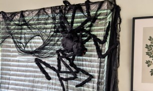 This Giant Posable Spider is Creepy, Hairy, & Only $8.99 on Amazon