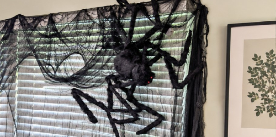 This Giant Posable Spider is Creepy, Hairy, & Only $8.99 on Amazon