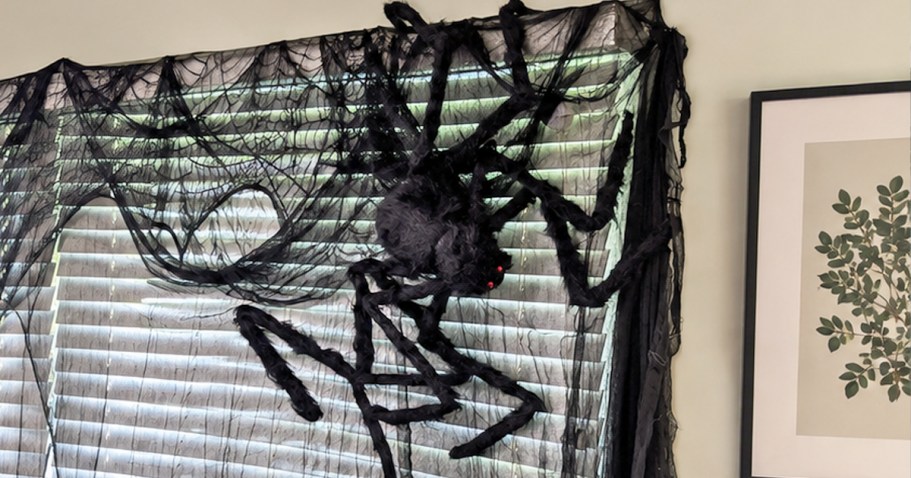 This Giant Posable Spider is Creepy, Hairy, & Only $8.99 on Amazon
