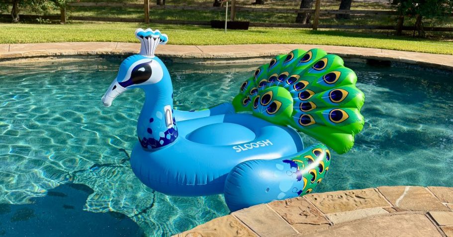 Imagine This Peacock Float in Your Pool (+ Get the Lowest Price!)