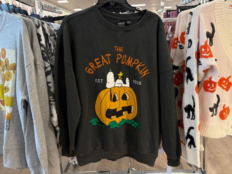 Juniors' Peanuts The Great Pumpkin Est. 1950 Snoopy & Woodstock Oversized Graphic Pullover in store