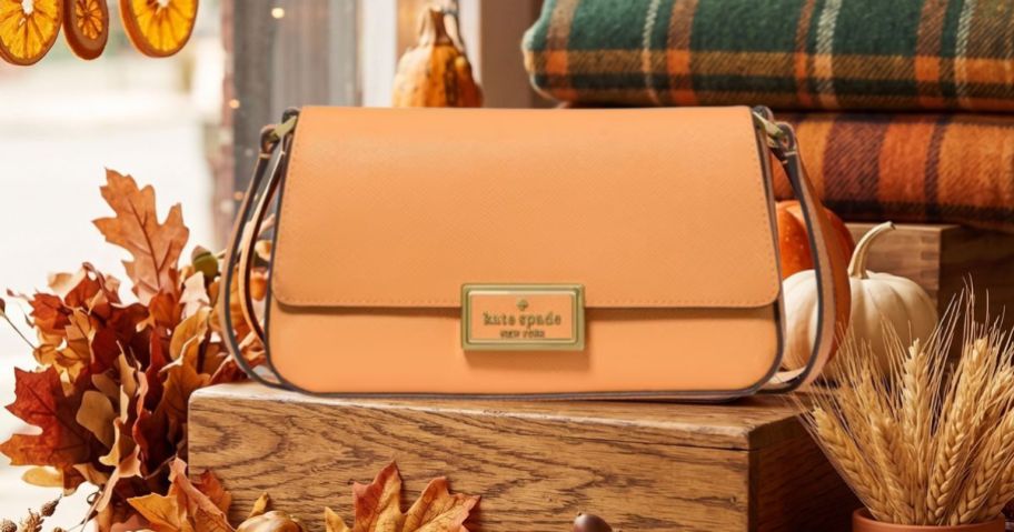 Kate Spade Reegan Mini Flap Crossbody Bag in fall display