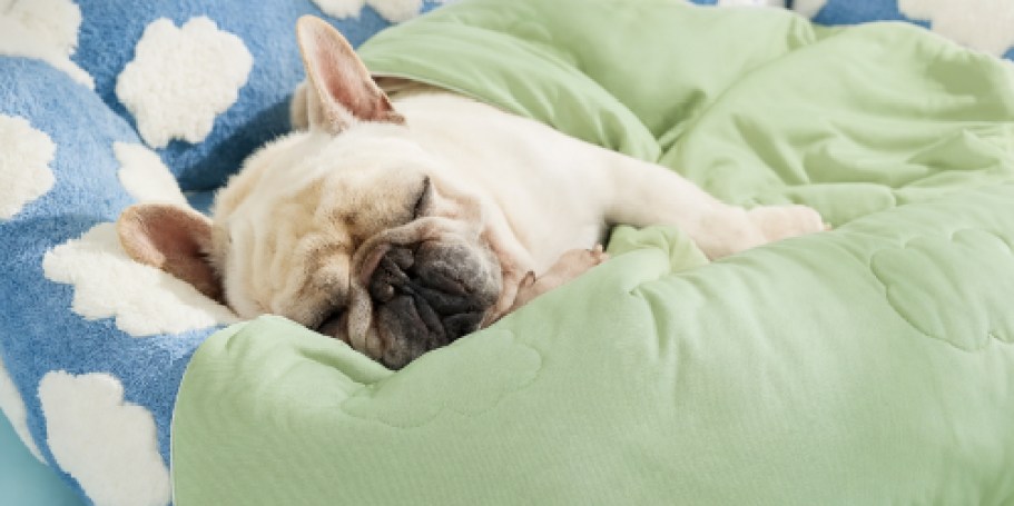 Dog Cooling Blanket Only $8.99 on Amazon (Reg. $33)