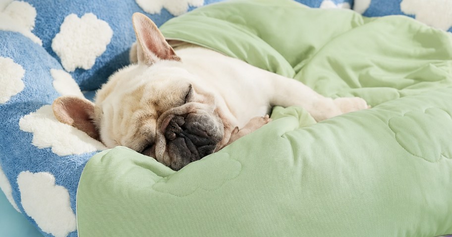 dog laying on a blue bed with a green cooling blanket