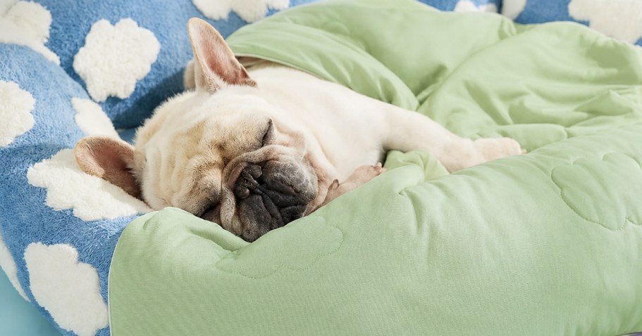 Dog Cooling Blanket Only $8.99 on Amazon (Reg. $33)