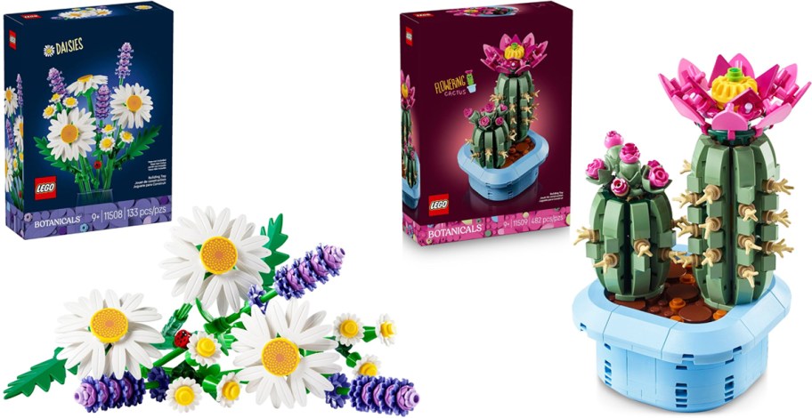 lego daisies and cactus building sets