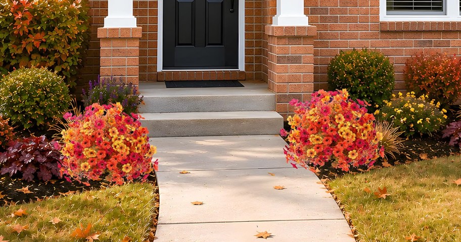 fall flowers on either side of front walkway