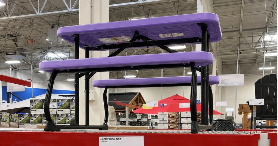This Folding Kids Picnic Table is Only $35.91 on SamsClub.com (Reg. $60)