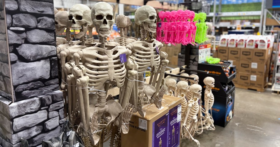 posable halloween skeletons on display in store